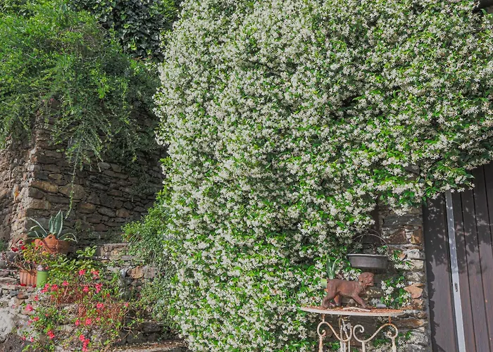 La Wally - 4 Bedroom With Pool & View Вилла Беллано