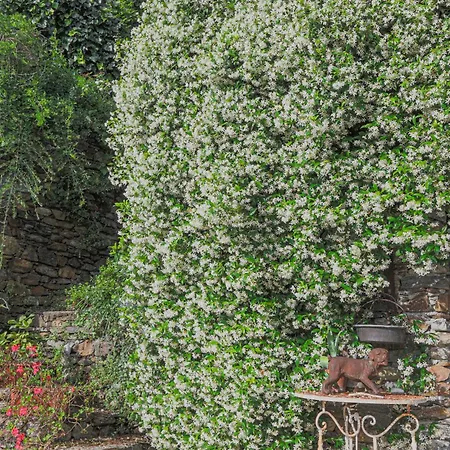 La Wally - 4 Bedroom With Pool & View Villa Bellano